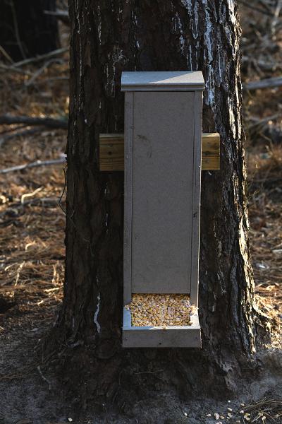 An introductory overview of deer feeders, including a look at the more popu...