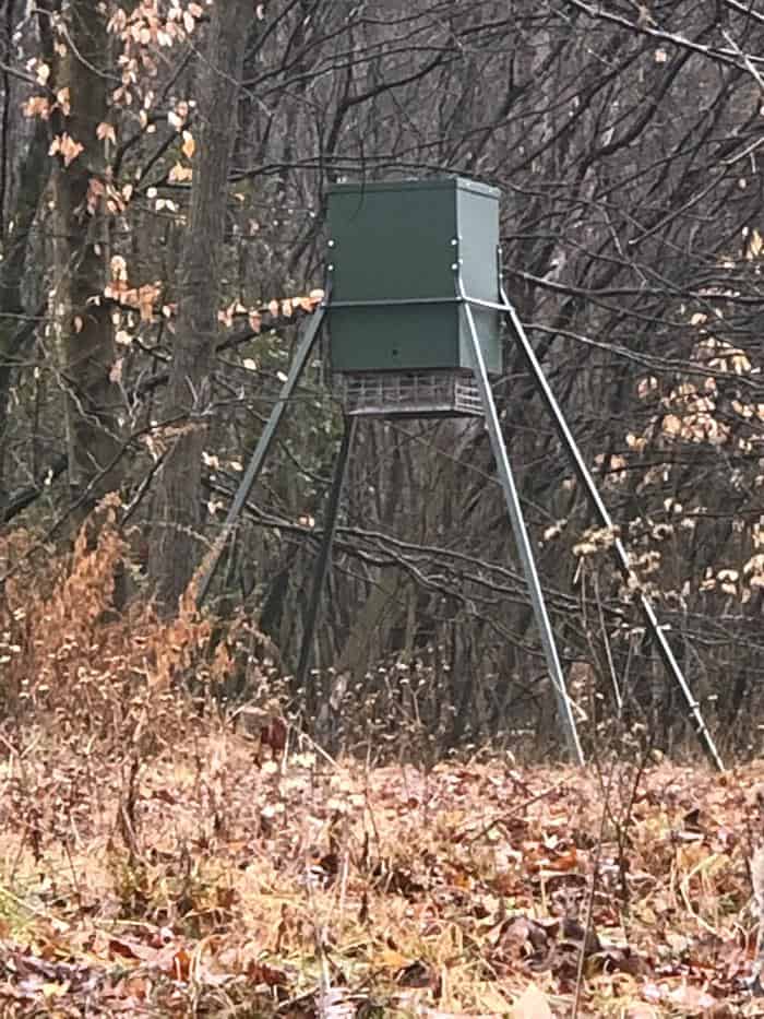 How High Should a Deer Feeder be off the ground